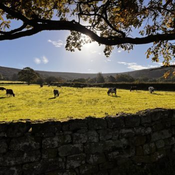 Botton Village countryside