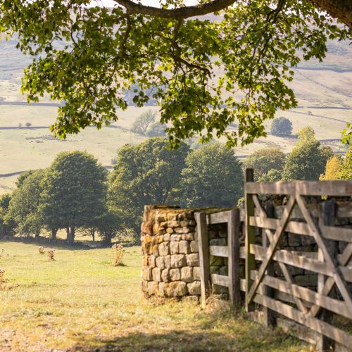 Botton Village Image 4