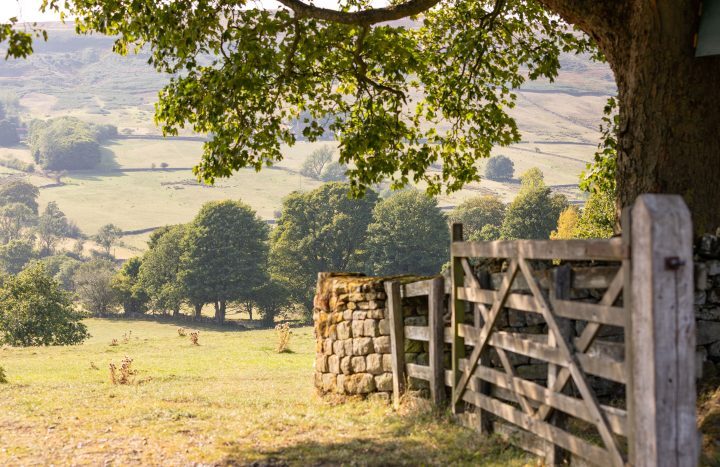 A gate to a farm