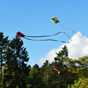 Kite Day