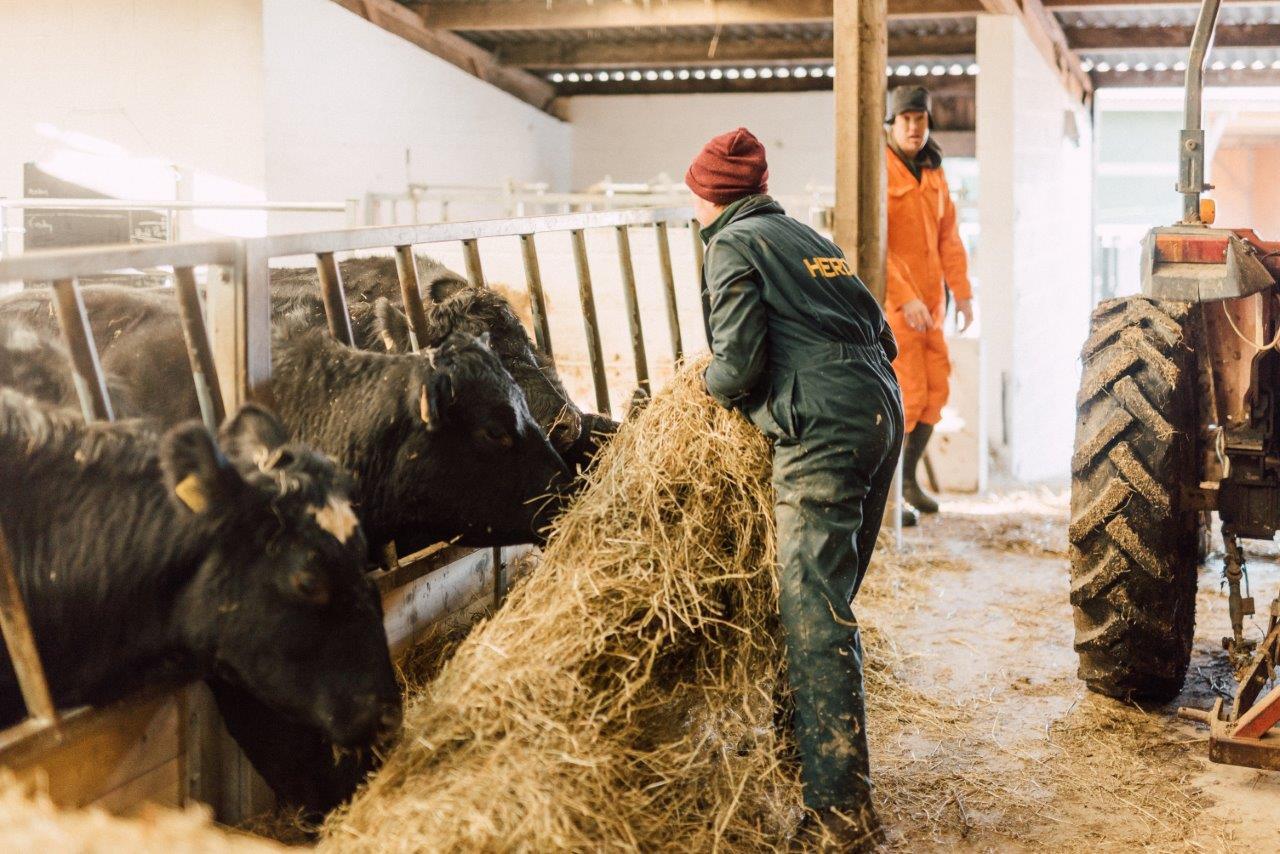 Farm Assistant