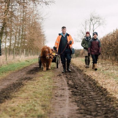 social garden & farm coordinator