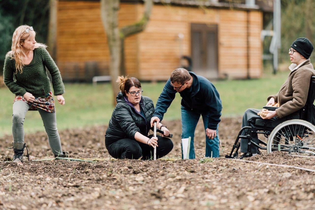 Social and Therapeutic Gardener