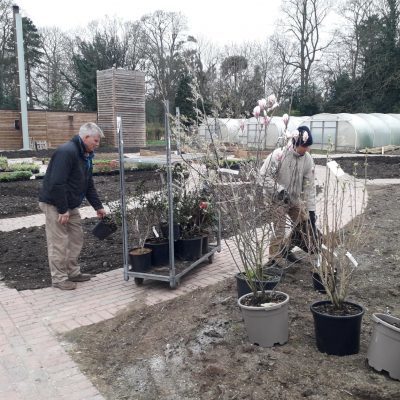 Finnis Scott Support for Delrow