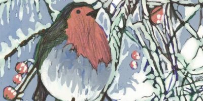 Camphill Village Trust Christmas cards & gifts on sale now