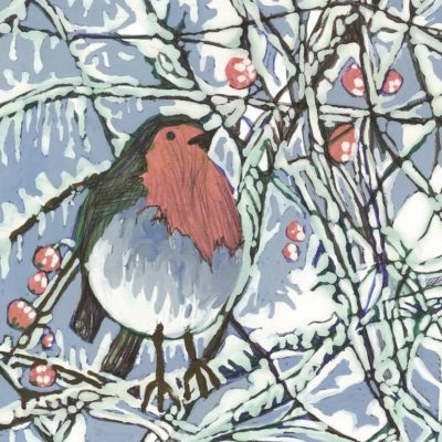 Camphill Village Trust Christmas cards & gifts on sale now