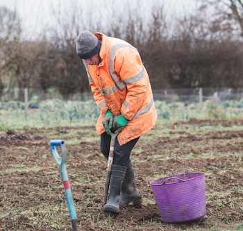 Gain confidence in growing vegetables Man digging the soil