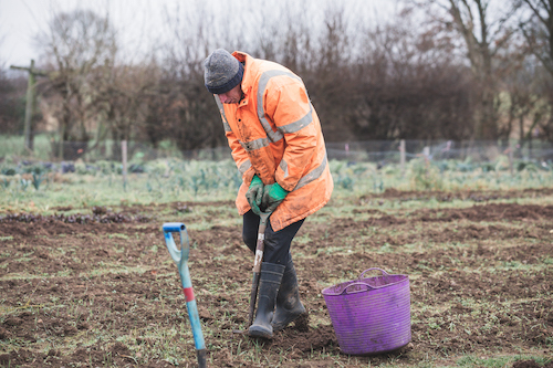 Man digging the soil