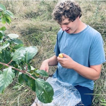Gain confidence in growing vegetables Man digging the soil