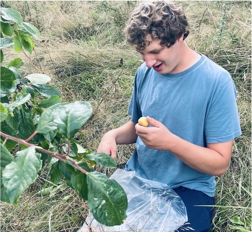 Man digging the soil