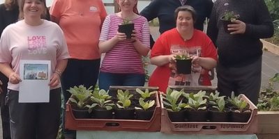 From sowing seeds at Ashfield Gardens to Gardeners World!