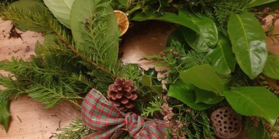 Christmas brochure