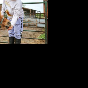 A person we support from our Larchfield community feeding a brown pony, farming nature-based day activities for adults with learning disabilities, Camphill Village Trust