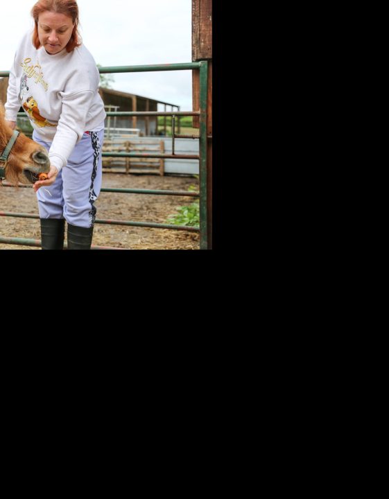 A person we support from our Larchfield community feeding a brown pony, on our social farm