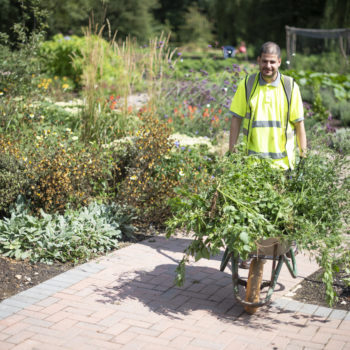 Growing and horticulture activity, a person with a wheelbarrow, Camphill Village Trust