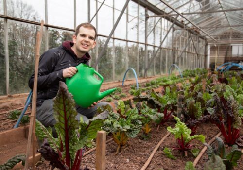 A man is watering plants in a greenhouse polytunnel