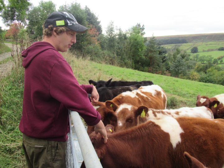 A person we support with cows