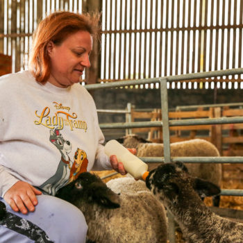 A person we support feeding lambs milk on our social farm