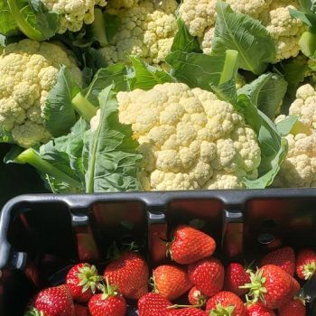Fresh fruit and vegetables