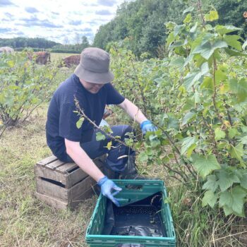 A person gardening
