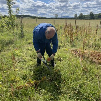 A person cutting weeds