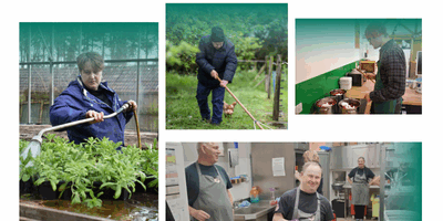 About Our Nature-Based Therapies and Skills Programmes