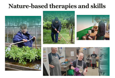About Our Nature-Based Therapies and Skills Programmes