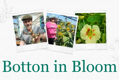 Botton in Bloom 2025