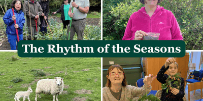 Seasons in Our Nature-based Therapies and Skills Programmes