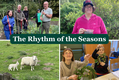 Seasons in Our Nature-based Therapies and Skills Programmes