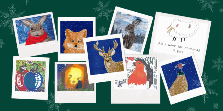 Christmas card banner