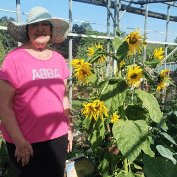 A person with their sunflowers