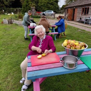 Someone chopping apples