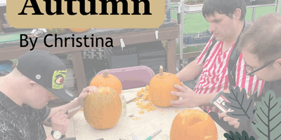 Autumn by Christina, Stourbridge Community