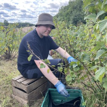 A person we support picking berries