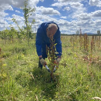 A person we support picking weeds