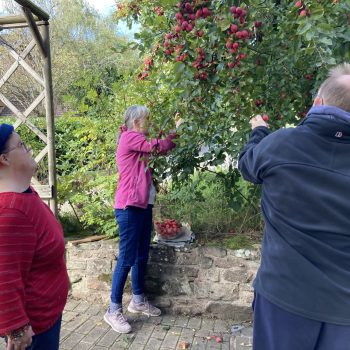 People picking fruit