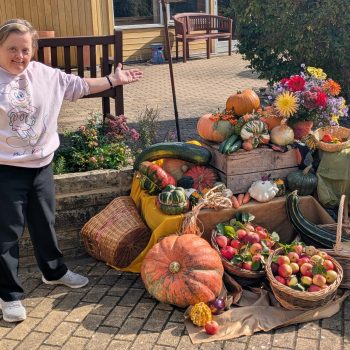 Harvest display