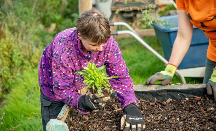 Kerri planting new vegetables in a raised bed