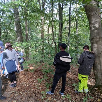 People walking in the forest
