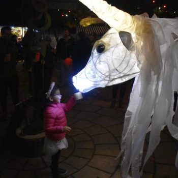 A bull lantern