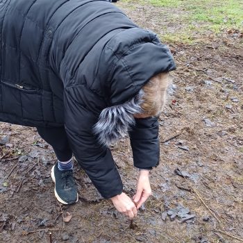 Pushing a wooden cross into the floor