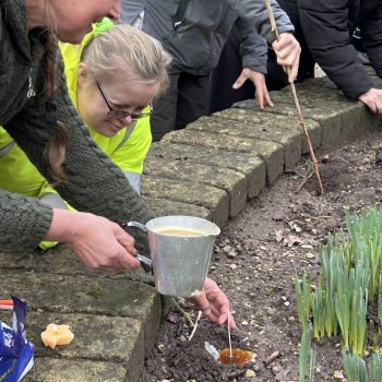 People planting and gardening
