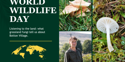 World Wildlife Day: Listening to the Land