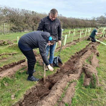 People planting trees