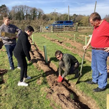 People digging outside