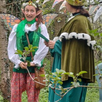 Delrow woodland play