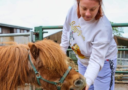 A woman is feeding a small pony