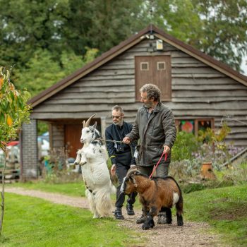 Francis and Keith walk with two goats on leads in a social farm and garden.