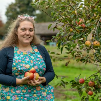 Sammy collects apples